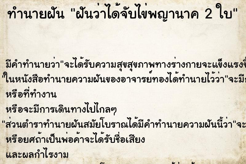 ทำนายฝัน ฝันว่าได้จับไข่พญานาค 2 ใบ ทำนายฝัน ฝันว่าได้จับไข่พญานาค 2 ใบ